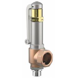 Safety valves with lifting device