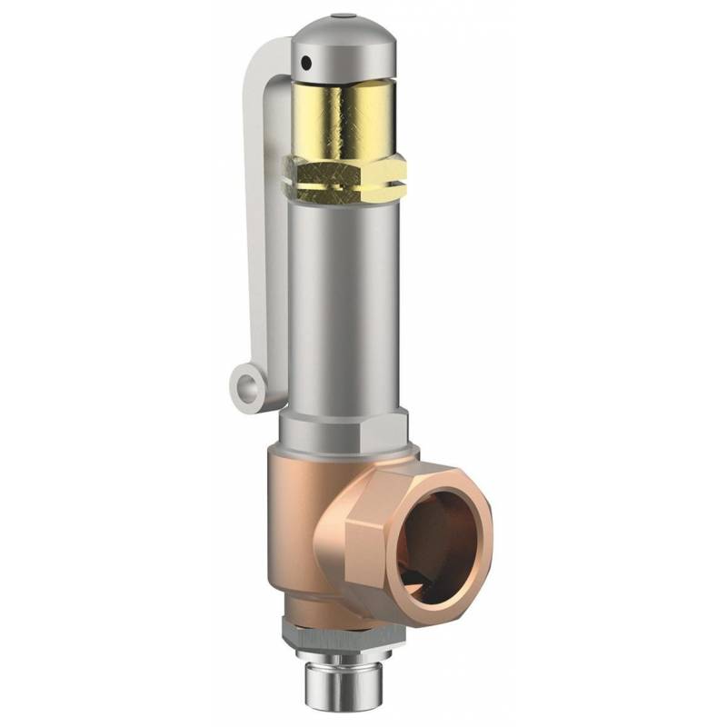 Safety valves with lifting device