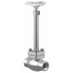 Stainless steel globe valves