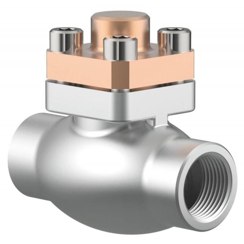 Combined cryogenic check valves