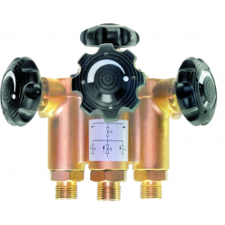 Gas distribution manifold