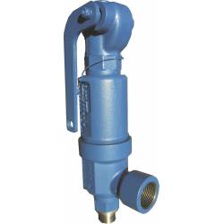 Safety valves type 06310