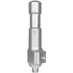 Safety valves type 06316