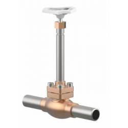 Cryogenic globe valves