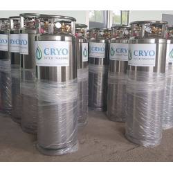 Cryogenic micro bulk tanks of small volume