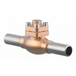 Cryogenic check valves